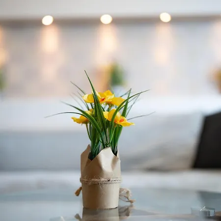 Designer Two-bedroom Apartament *